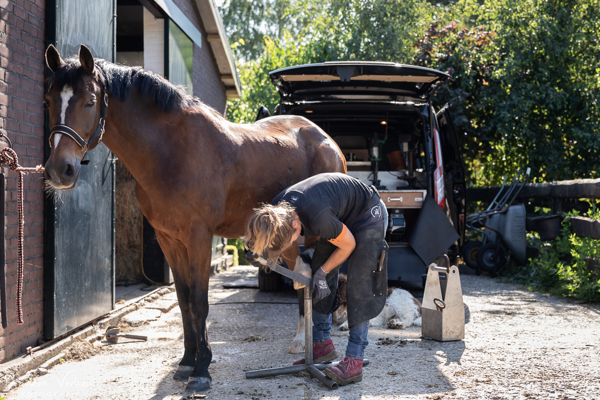 Paard bekappen