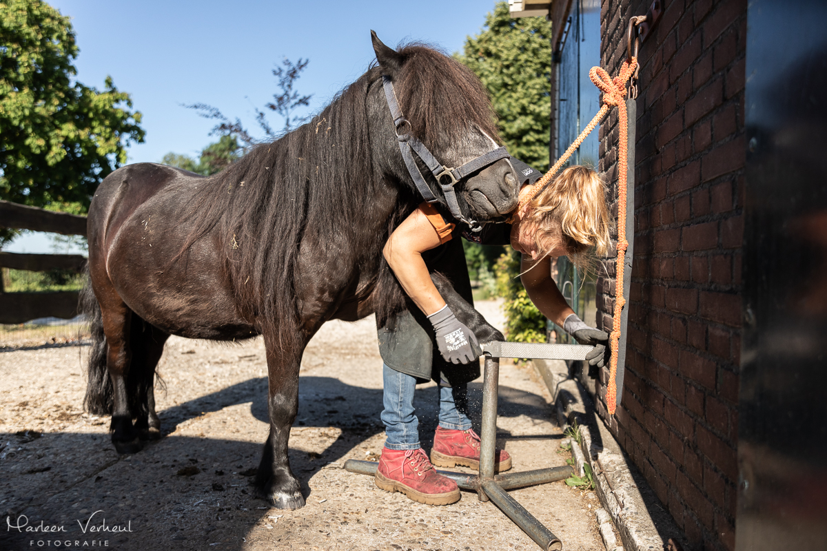 Paard bekappen